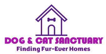 The Dog & Cat Sanctuary